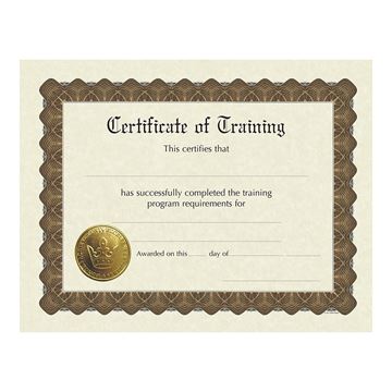 Great Papers! Training Certificate, Pre-Printed Gold Foil and Embossed, Certificate of Completion, for Awards and Achievements, 8.5”x11”, 6 Sheet Pack (930300)