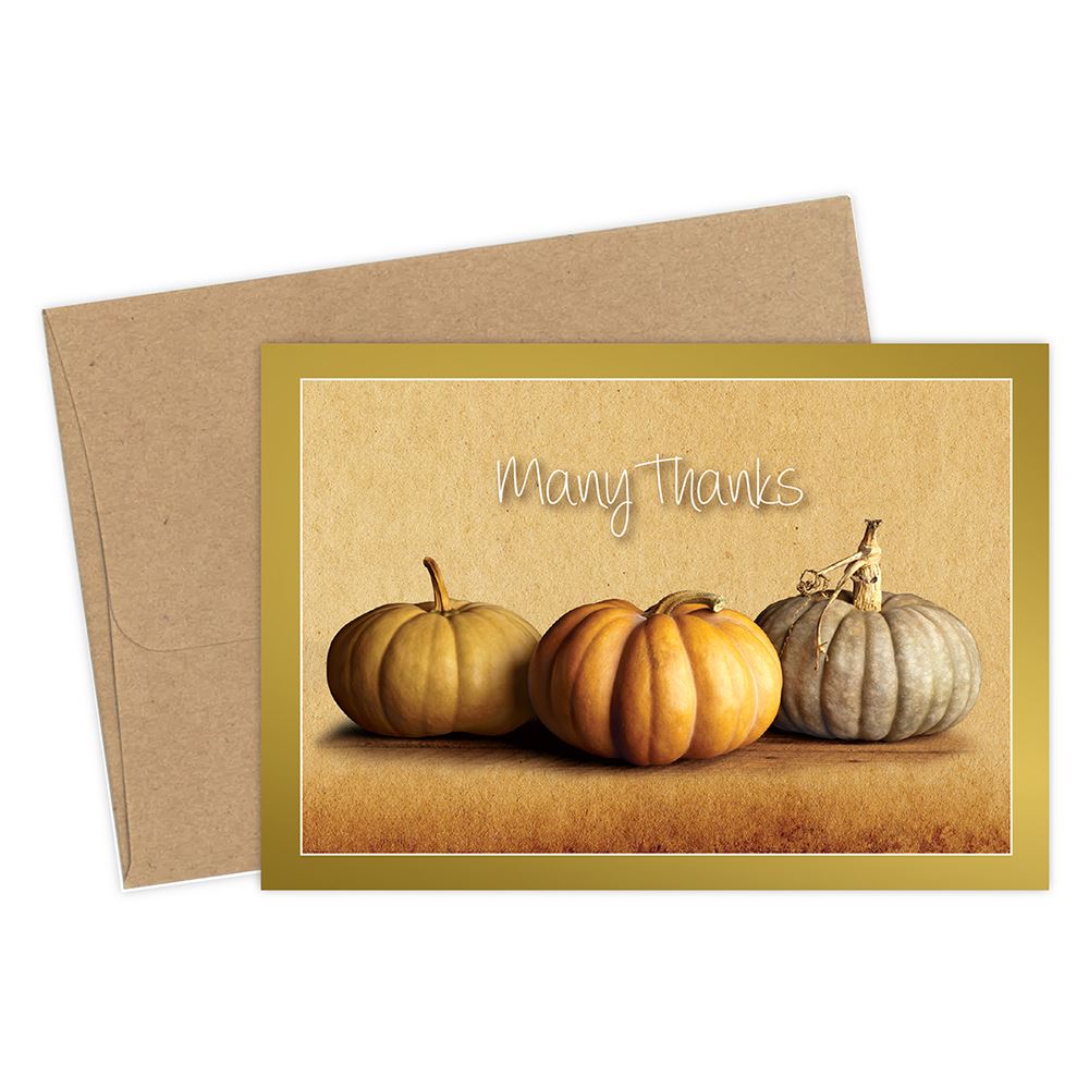 Koko Paper Co Fall Thank You Cards With Pumpkin & Sunflowers - 25 Cards & Envelopes, Heavy Card Stock