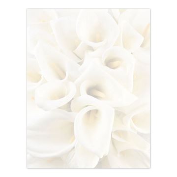 Great Papers! White Calla Lilies Letterhead, 80 Count, 8.5"x11" (2014286)