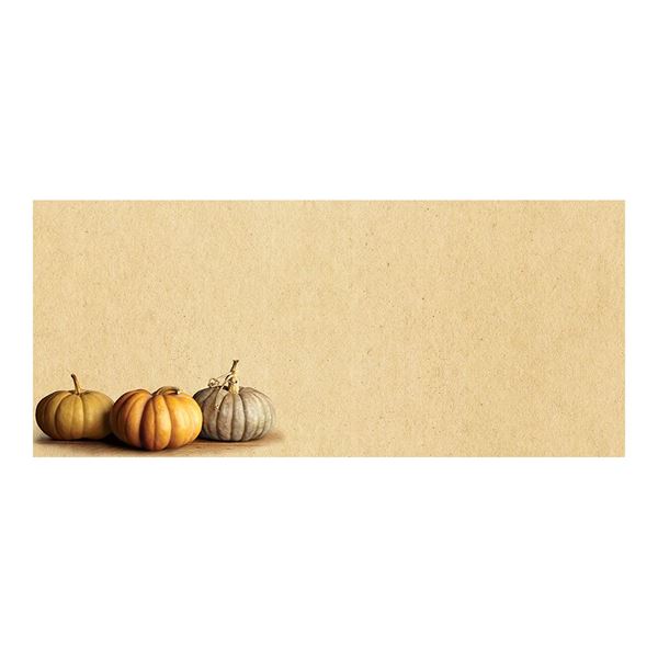 Great Papers! Fall Pumpkins #10 Envelope, 4.125" x 9.5", 25 Count (2019093)