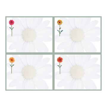 Great Papers!  Daisies 4-Up Postcards,10 sheets/40 postcards, 5.5" x 4.25" 