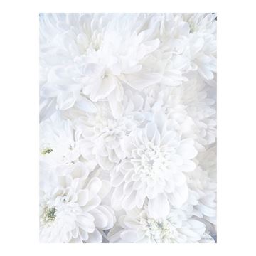 Great Papers! White Soft Petals Letterhead Stationery, 8.5" x 11", 80 count, Inkjet and Laser Printer Compatible (2020144)