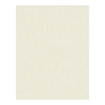 Great Papers! Ivory Faux-Parchment Certificate Paper for Diplomas, Resumes and Awards, Printer Friendly, 8.5” x 11”, 80 GSM, 50 Count (2014030)