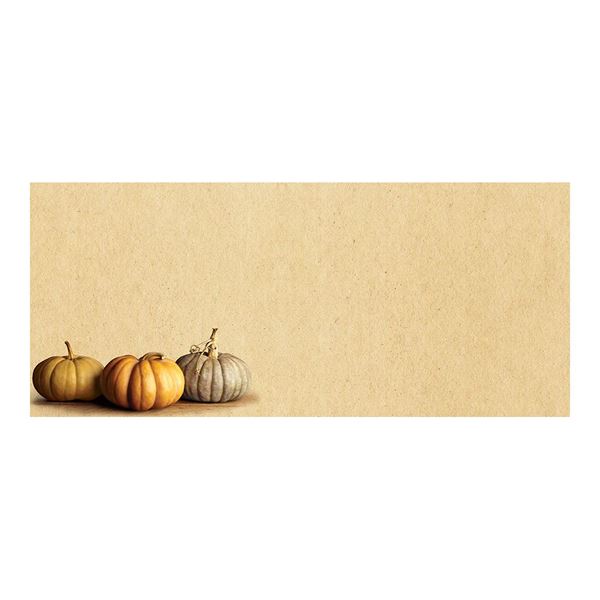 Great Papers! Fall Pumpkins #10 Envelope, 4.125" x 9.5", 40 Count (2019094)