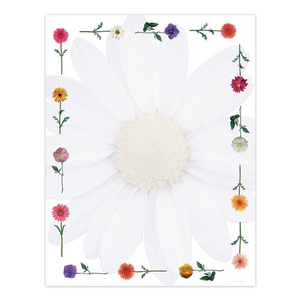 Great Papers! Daisies Letterhead, for Classrooms, Invitations and Personal Messages, Printer Friendly 8.5” x 11” (2013178)