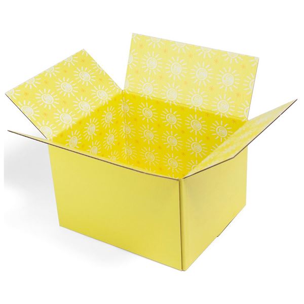 Great Papers! GiftIn Corrugated Shipping Box, Sunshine Design, Care Package, for Gifts, Small Business, Weddings, and Classroom, 2 Pack (2022025)